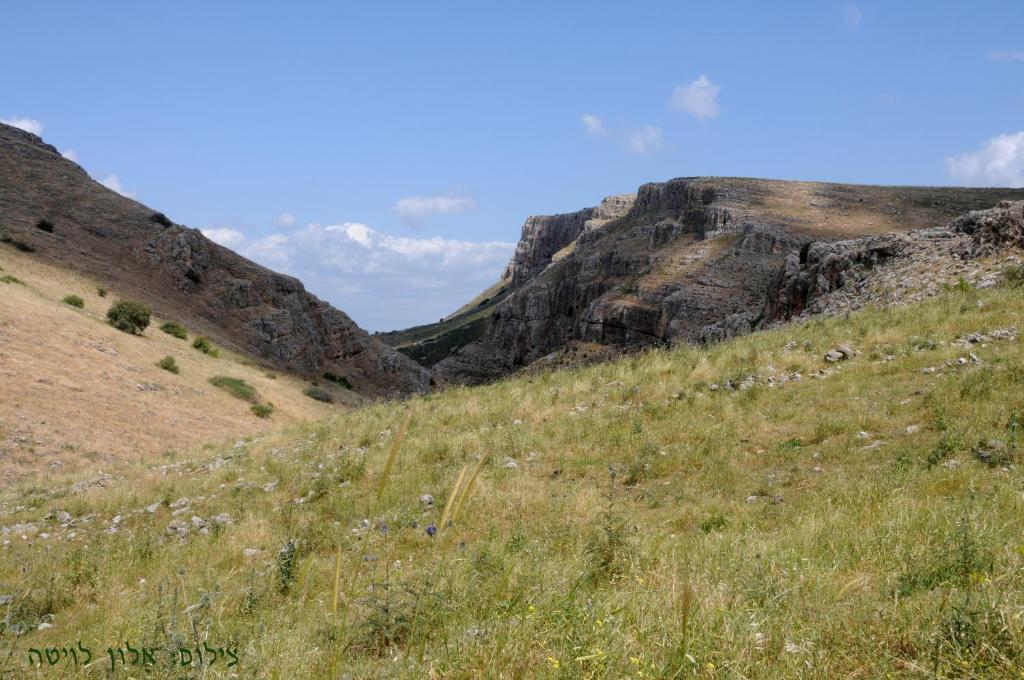 阿贝尔沙维特家庭宾馆 Arbel 外观 照片